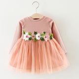 Cute Toddler Baby Girl Floral Tutu Long Sleeve Princess Dress